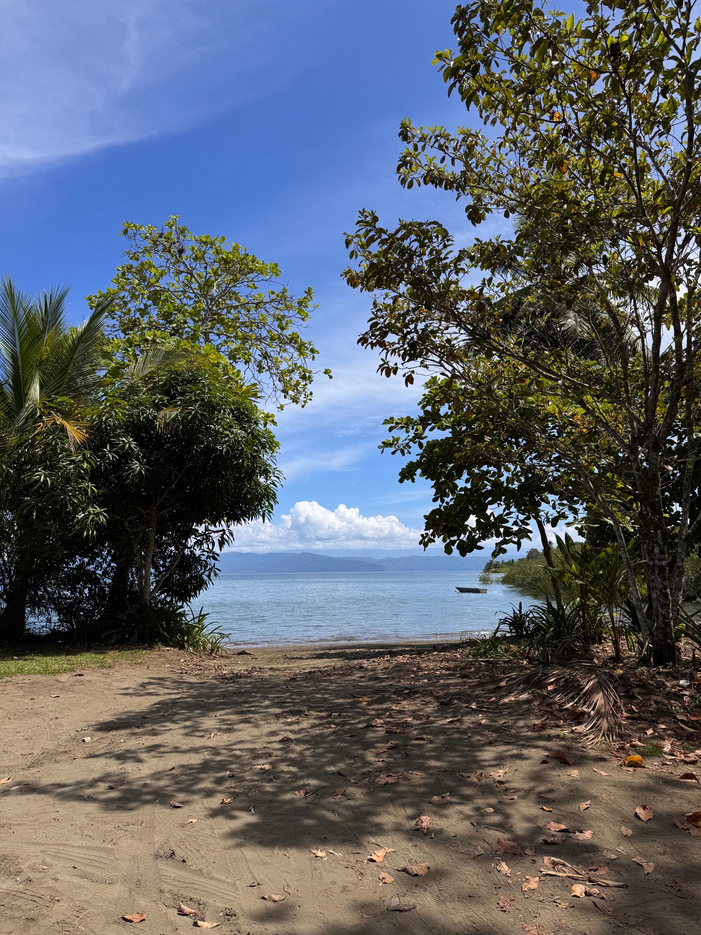 Pacific Ocean view framed by jungle trees at Chosa Manglar, Osa Peninsula, Costa Rica