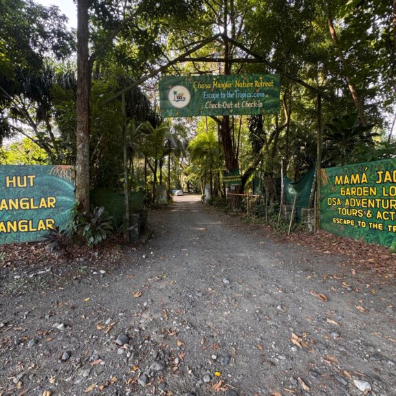 Field Note 001: Chosa Manglar Nature Retreat